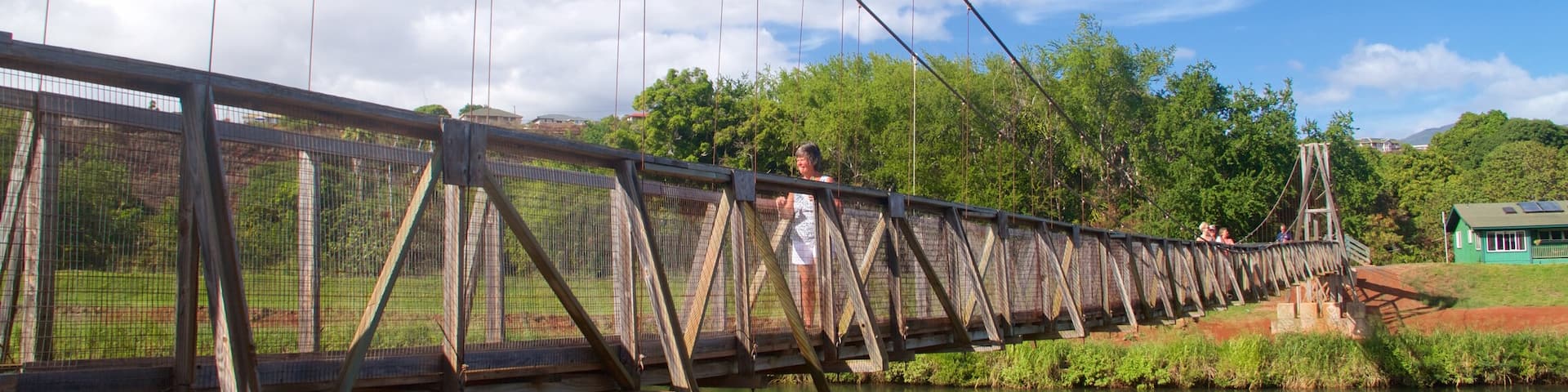 Swinging Bridge which includes a suspension bridge or treetop walkway
