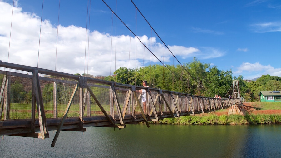 Swinging Bridge which includes a suspension bridge or treetop walkway