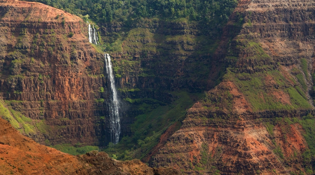 Waimea showing a gorge or canyon and a cascade