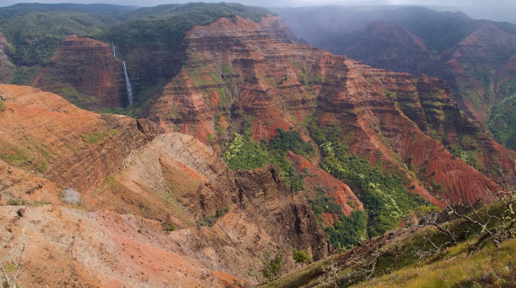 Waimea Canyon featuring a gorge or canyon