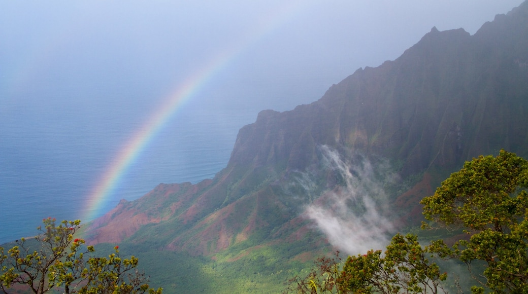 Kauai Island featuring a gorge or canyon and general coastal views