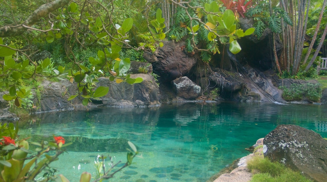 Kauai