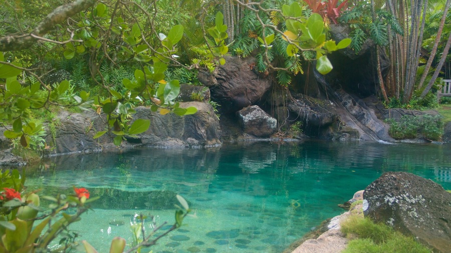 Kilauea cho thấy cảnh bờ biển