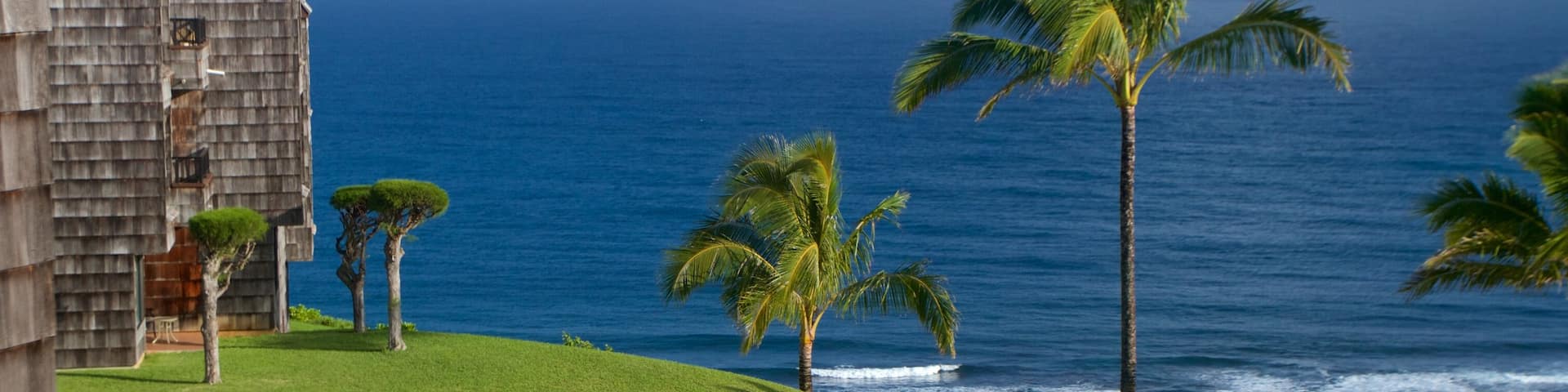 Princeville showing general coastal views