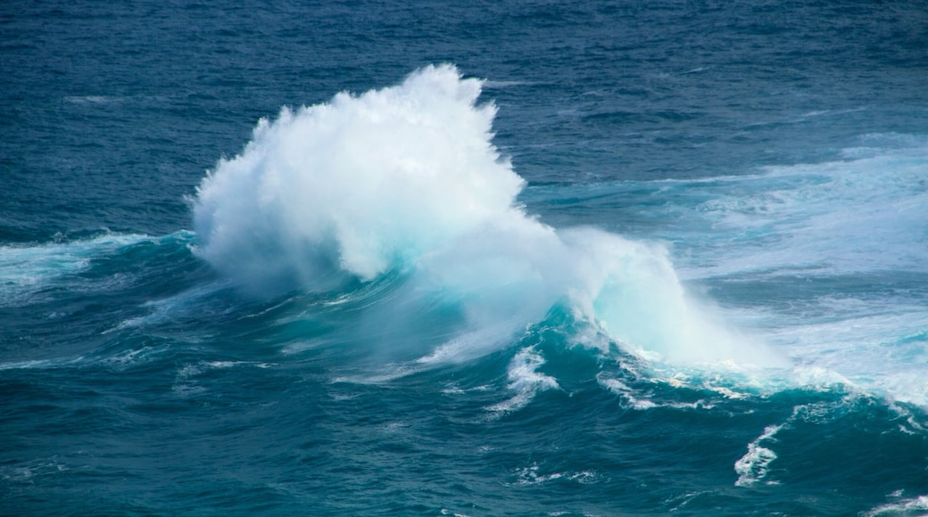 Kilauea Lighthouse which includes general coastal views and waves