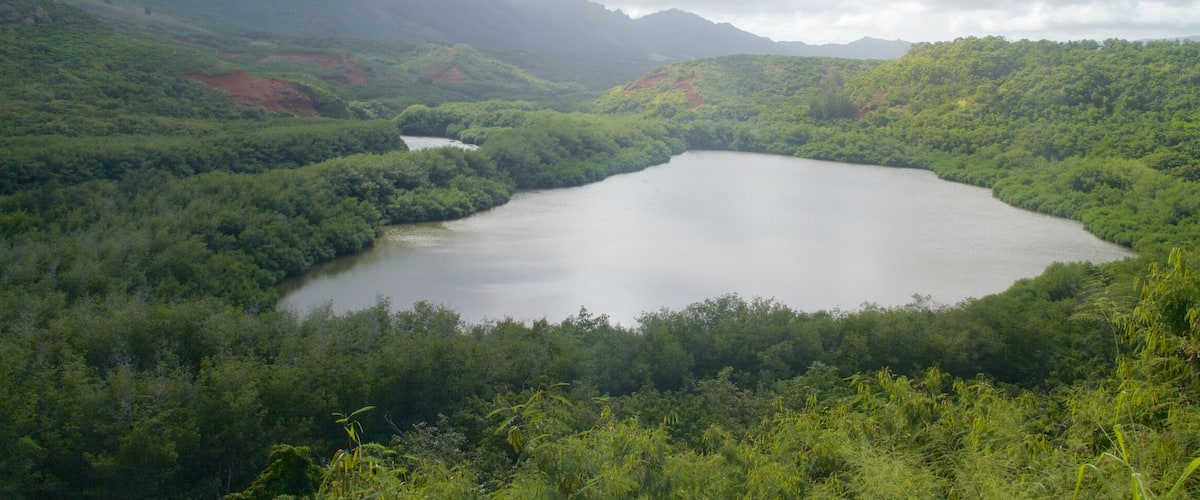 Lihue which includes mountains, a lake or waterhole and forest scenes