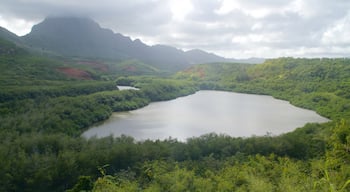 Lihue qui includes montagnes, scènes forestières et lac ou étang