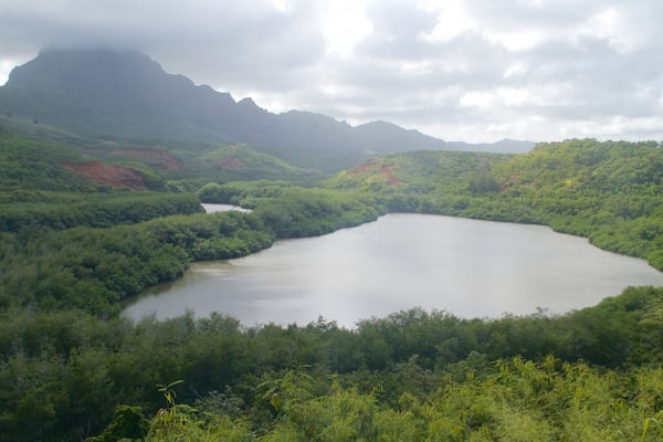 Lihue which includes mountains, a lake or waterhole and forest scenes
