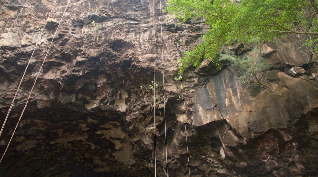 Wet Caves showing a gorge or canyon