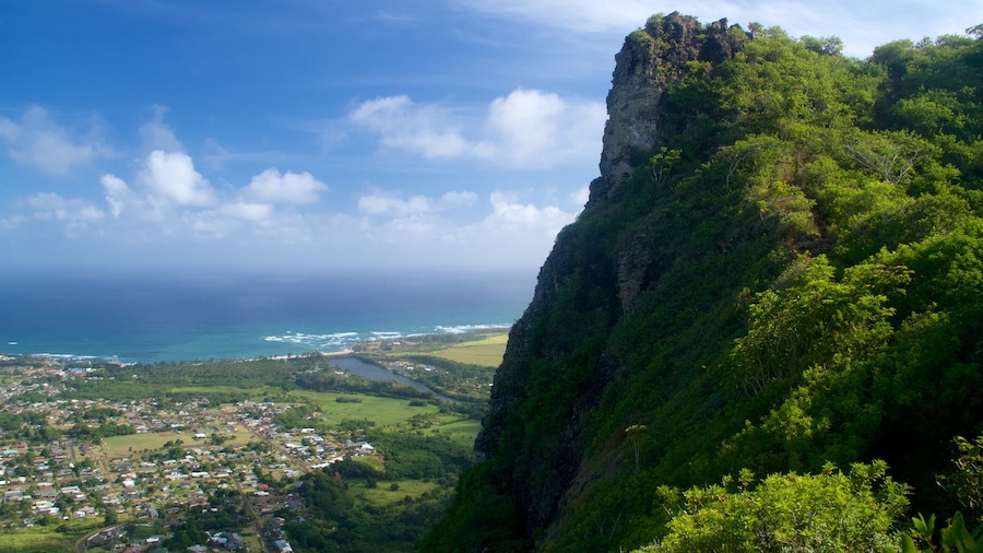 Kapaa which includes general coastal views and a gorge or canyon