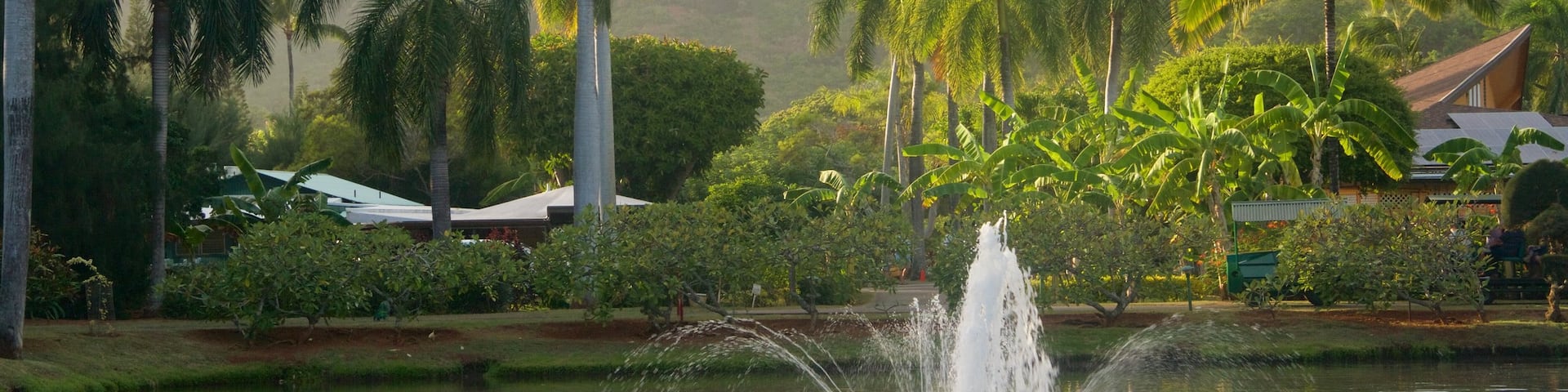 Smith Family Garden Luau ofreciendo una fuente