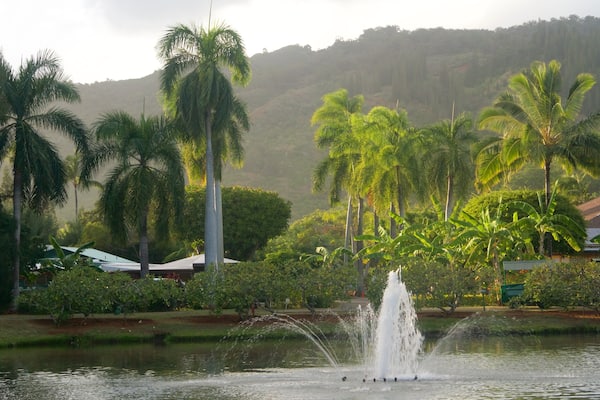 Smith Family Garden Luau das einen Springbrunnen
