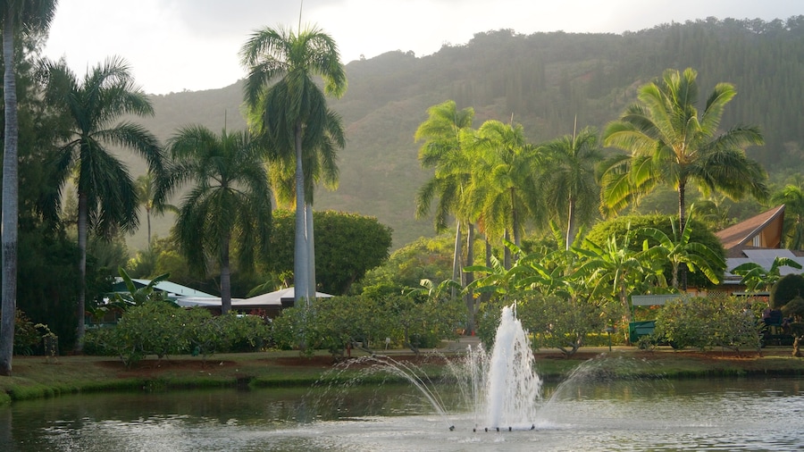 Smith Family Garden Luau som viser et springvand