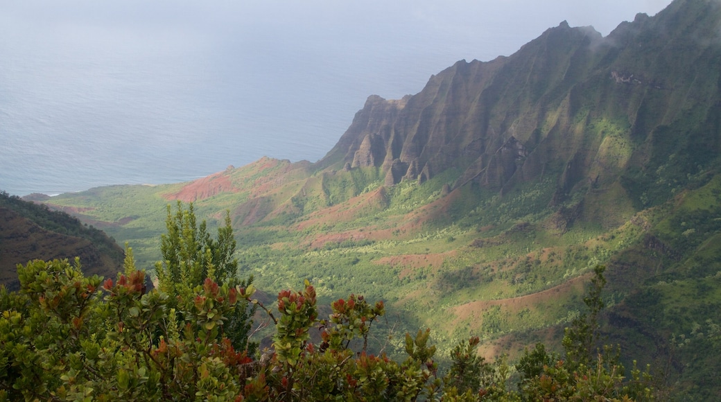 Pu\'u O Kila Lookout showing landscape views and a gorge or canyon