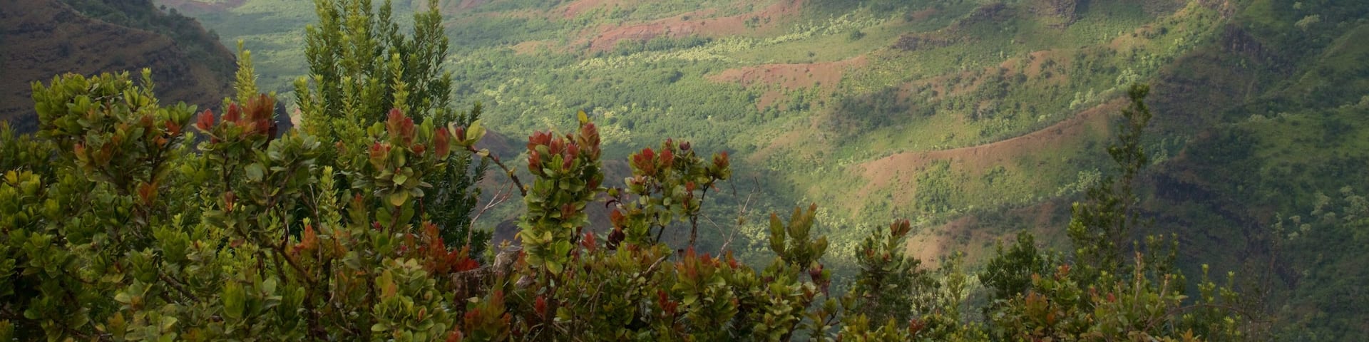 Pu\'u O Kila Lookout featuring landscape views and a gorge or canyon