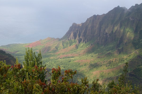Point de vue de Pu\'u O Kila montrant gorge ou canyon et panoramas