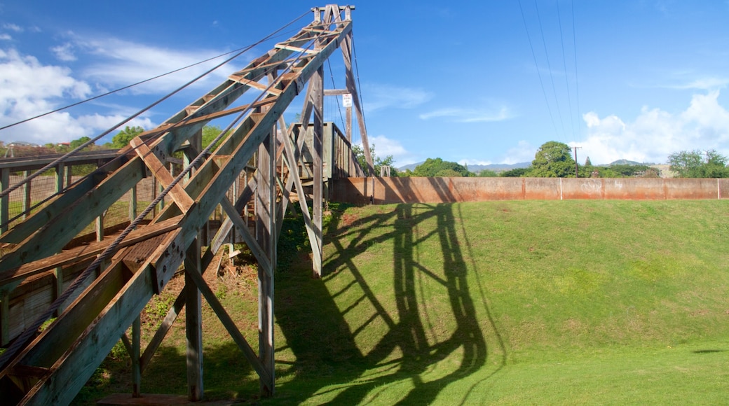 Swinging Bridge