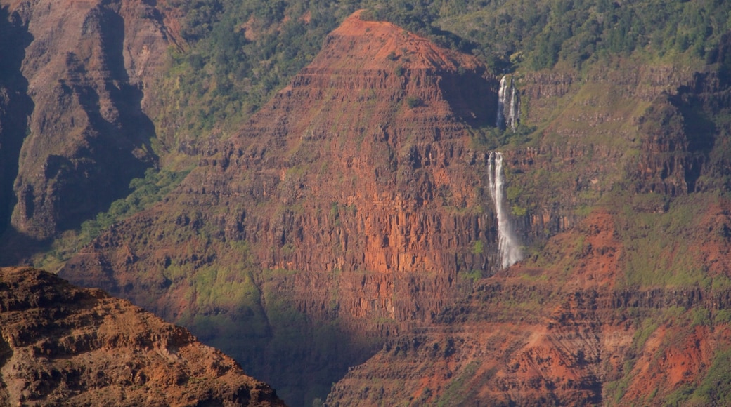 Cañón Waimea que incluye un cañón o garganta y una cascada