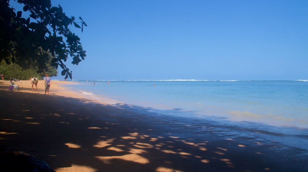 Playa Anini ofreciendo una playa