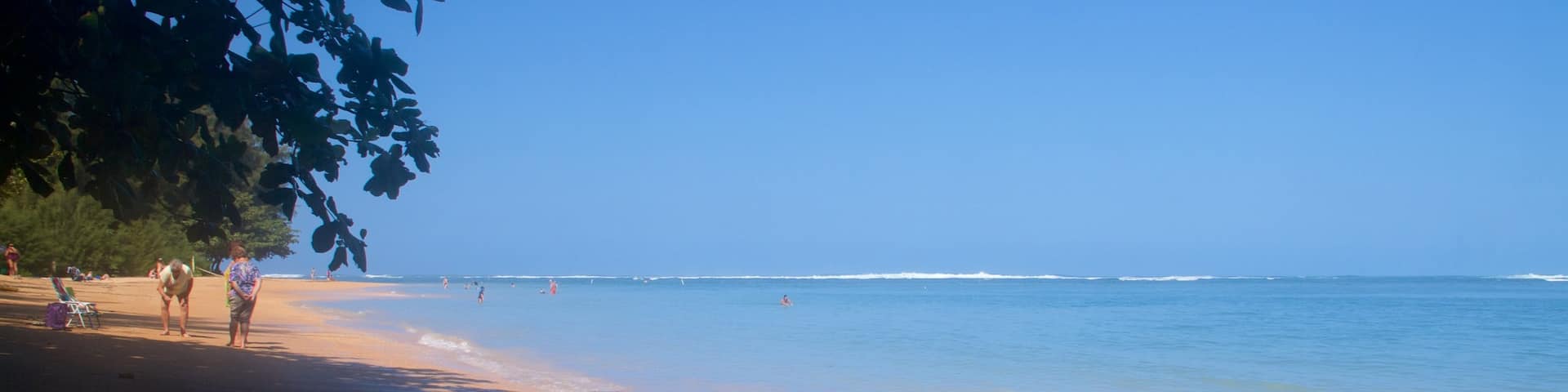 Anini Beach qui includes plage de sable