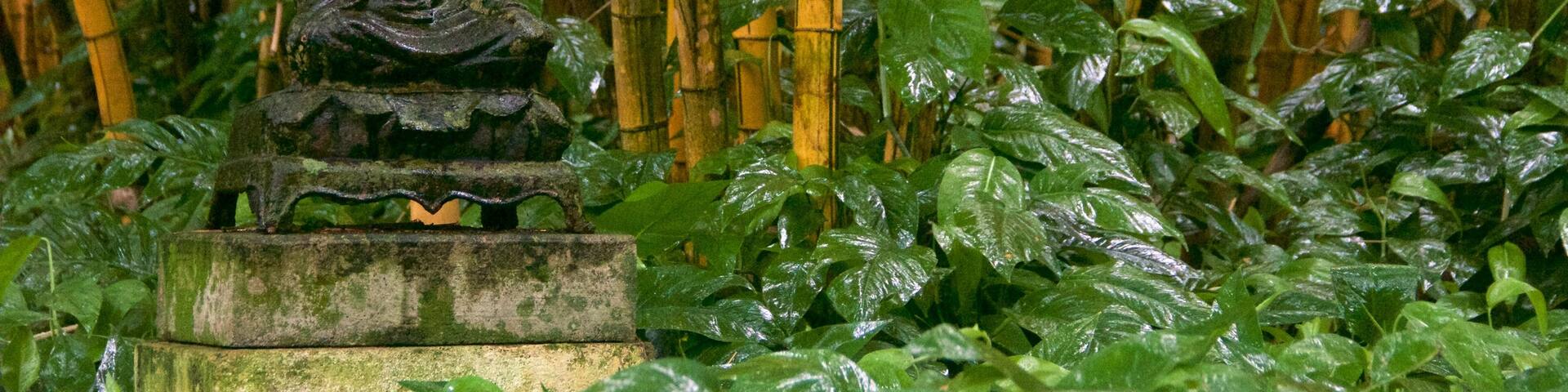 Allerton Botanical Garden which includes a statue or sculpture, a monument and forest scenes