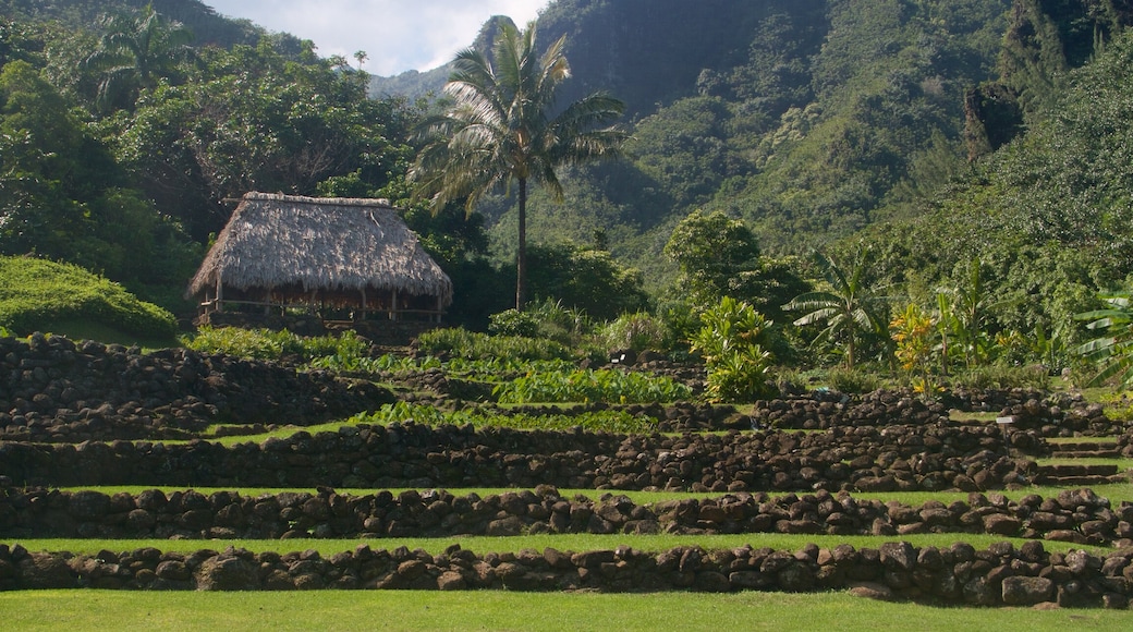 Limahuli Gardens and Reserve showing a park