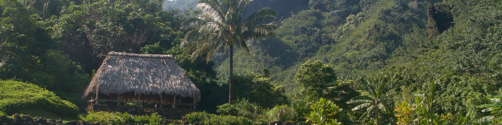 Limahuli Gardens and Reserve featuring a park
