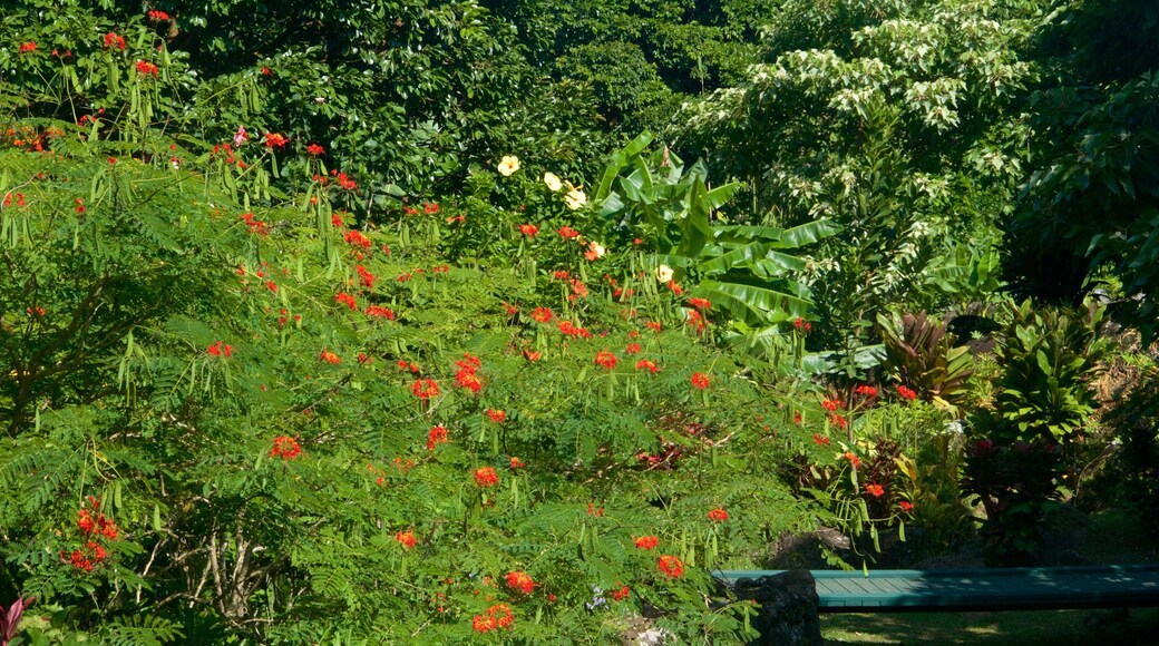 Tuinen en reservaat Limahuli inclusief wilde bloemen en een park