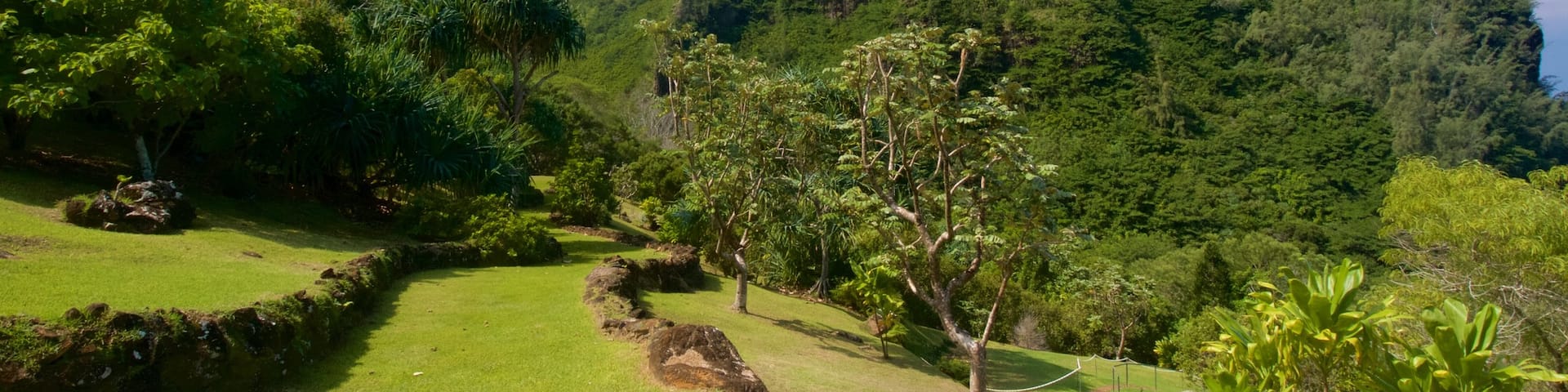 Limahuli Gardens and Reserve showing mountains and a park