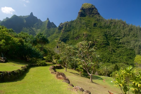 Limahuli Gardens and Reserve featuring mountains and a park