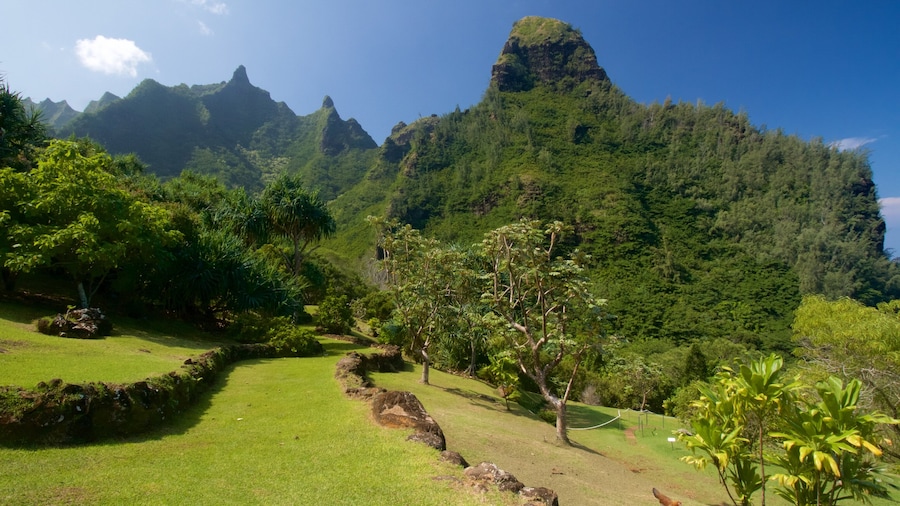 Limahuli Gardens and Reserve featuring mountains and a park
