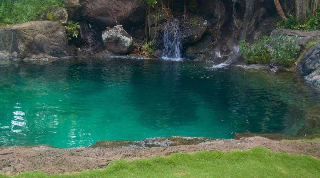 Jardines Botánicos Na Aina Kai mostrando un lago o espejo de agua