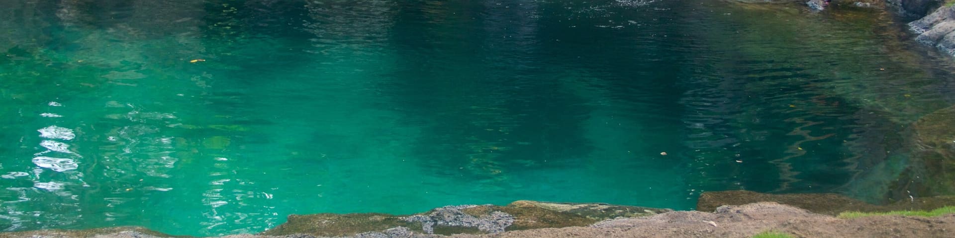 Na Aina Kai Botanical Gardens featuring a lake or waterhole
