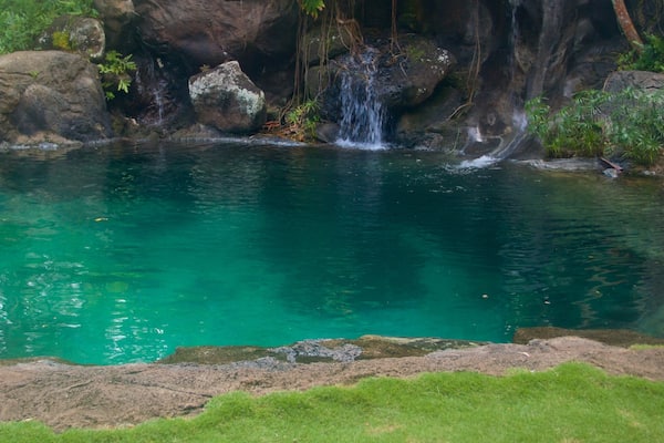 Jardin botanique de Na Aina Kai montrant lac ou étang