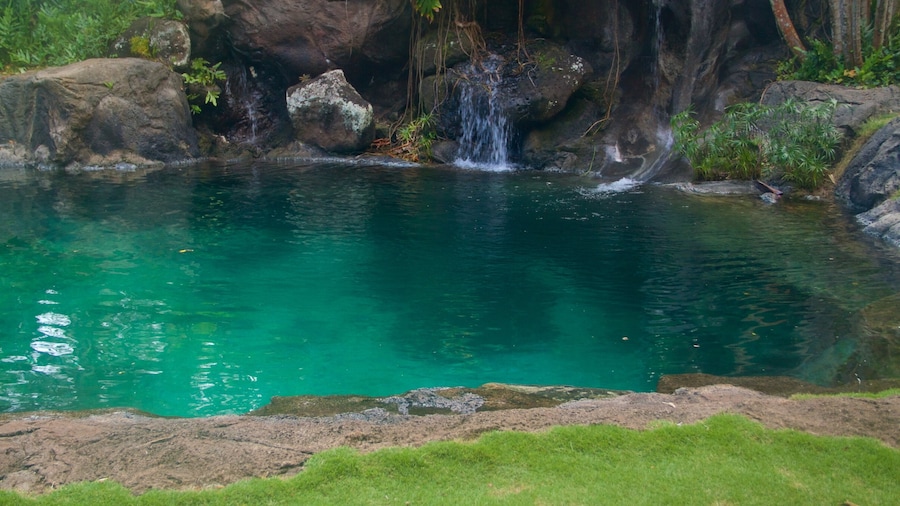 Na Aina Kai Botanical Gardens