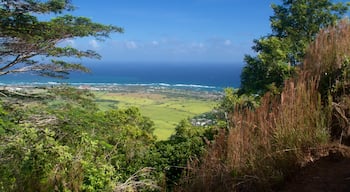 Sleeping Giant Trailhead showing general coastal views