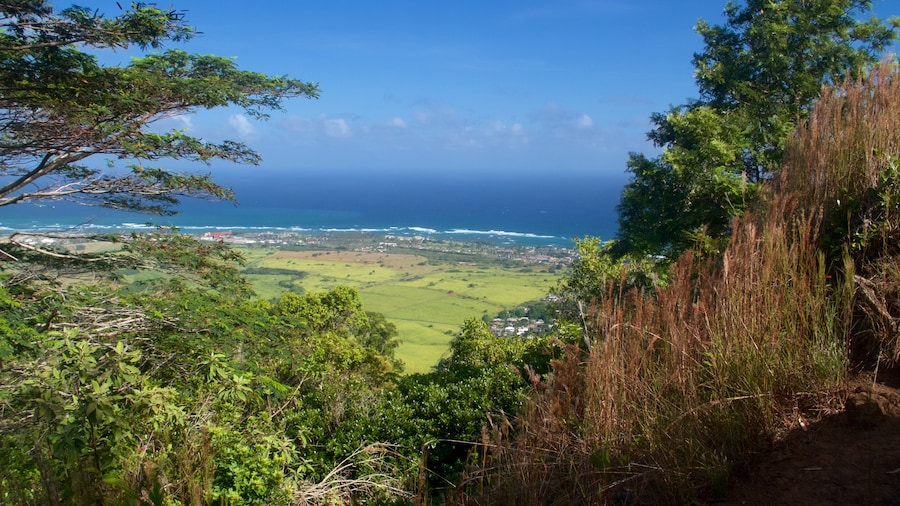 Jalur Pendakian Sleeping Giant