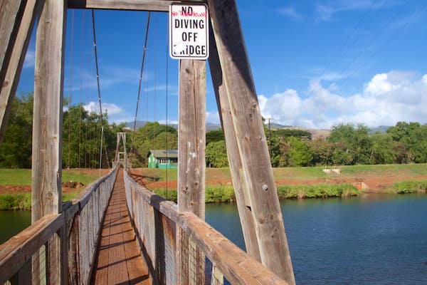Swinging Bridge which includes a suspension bridge or treetop walkway and a lake or waterhole