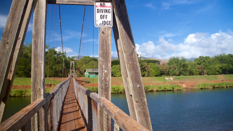 Swinging Bridge showing a suspension bridge or treetop walkway and a lake or waterhole