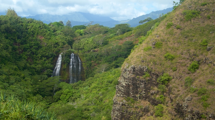 Cascadas de Opaekaa que incluye una catarata y montañas