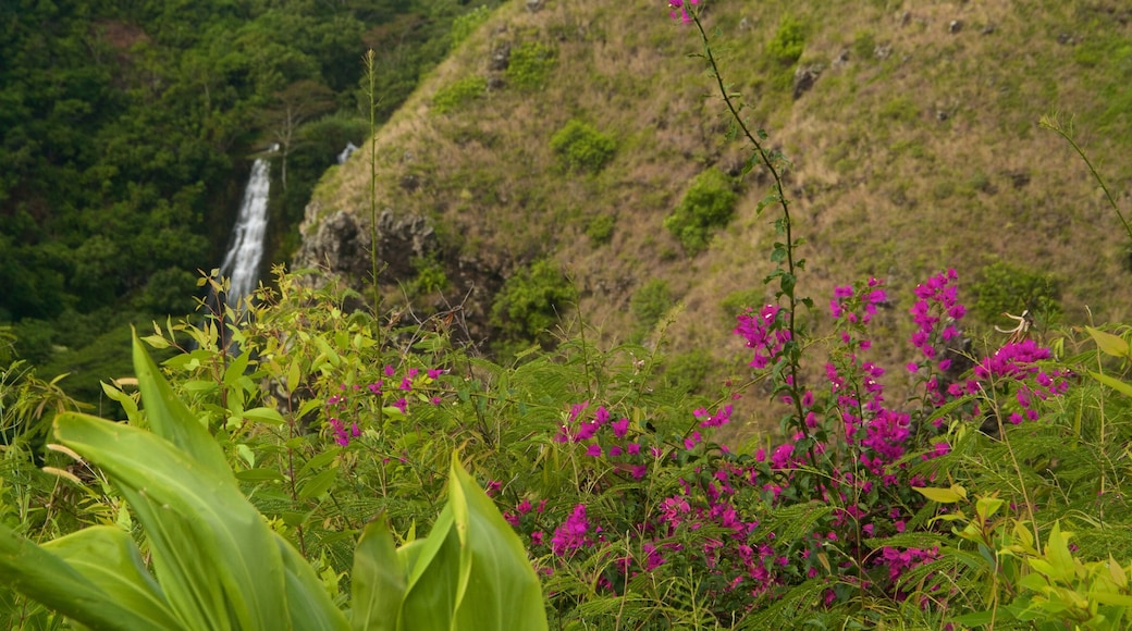 Opaekaa Falls which includes wild flowers