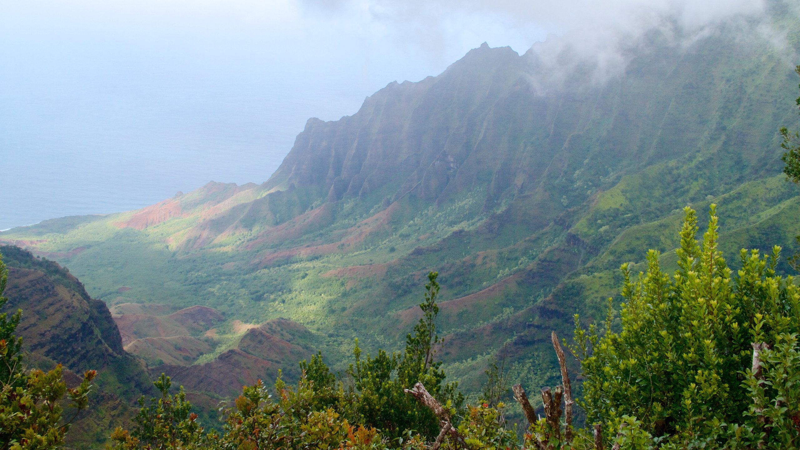 Ferienwohnung Pu'u O Kila Lookout: Ferienhäuser & mehr | FeWo-direkt 