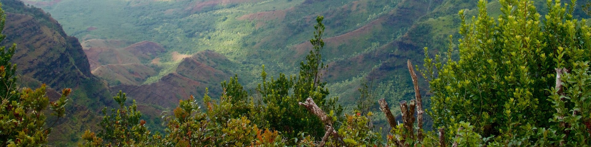 Pu\'u O Kila Lookout showing a gorge or canyon and landscape views