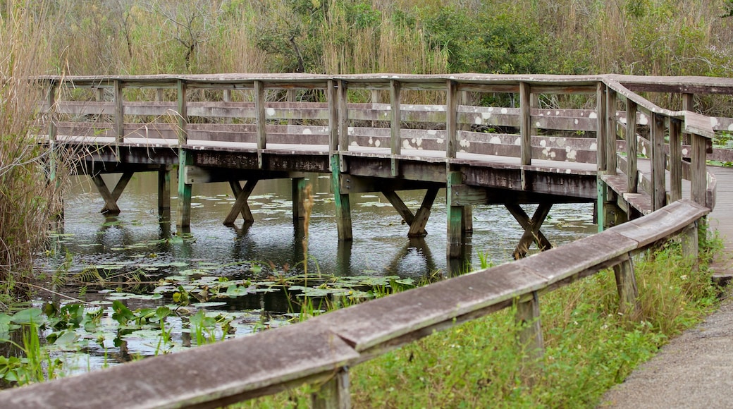 Southeast Florida showing a bridge and a lake or waterhole
