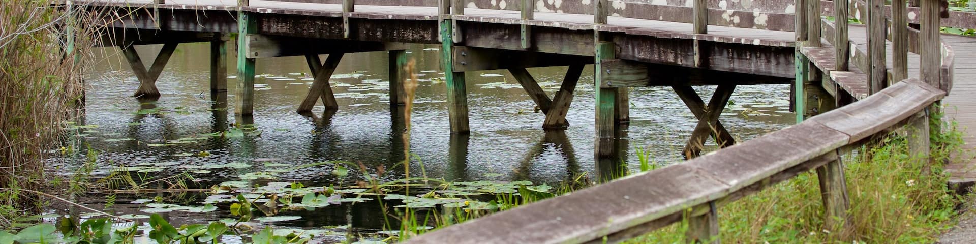 Southeast Florida showing a bridge and a lake or waterhole