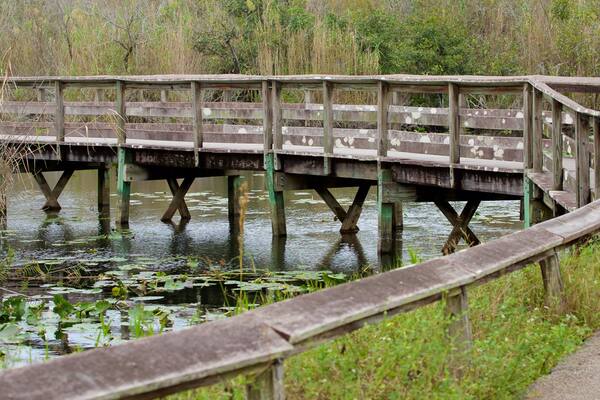 Florida, Südosten das einen See oder Wasserstelle und Brücke