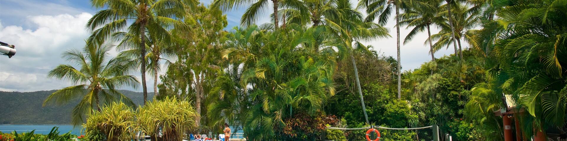 Daydream Island showing a luxury hotel or resort, swimming and a pool