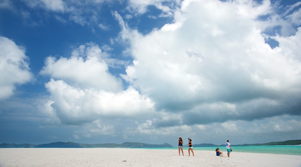 Whitsunday Islands showing landscape views and a sandy beach as well as a small group of people