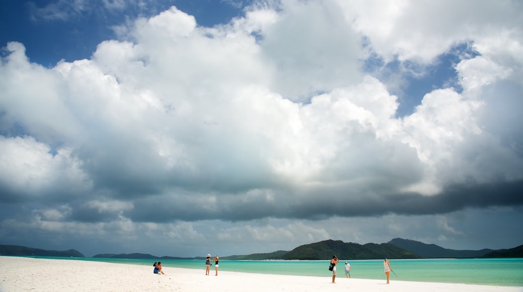 Hamilton Island showing landscape views and a sandy beach as well as a small group of people