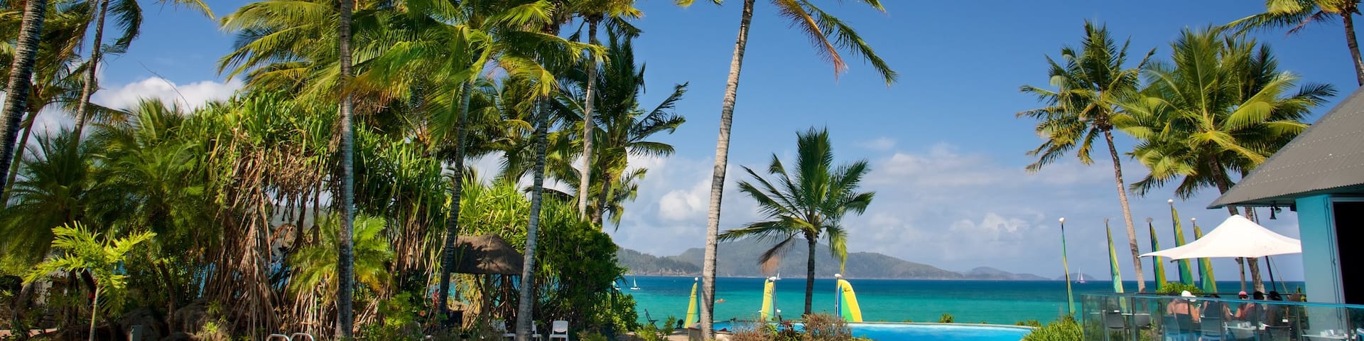 Catseye Beach showing general coastal views, a pool and swimming